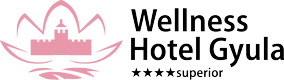 Wellness Hotel Gyula****superior